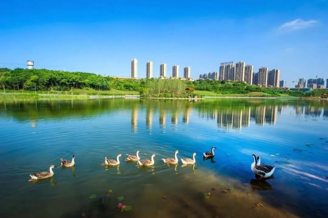 一线河景,均价1.82万元/㎡、仅95套!这