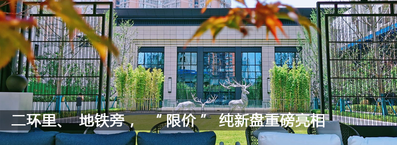 二环里、地铁8号线旁，“限价”纯新