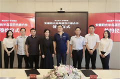 中国信达&华宇集团，央企民企携手